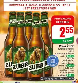 Dino Piwo Żubr oferta