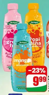 Dino Koncentrat napoju Herbapol oferta