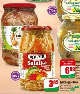 Dino Sałatka obiadowa Rolnik oferta