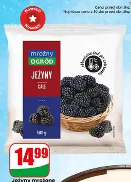 Dino Jeżyny mrożone Mroźny Ogród oferta