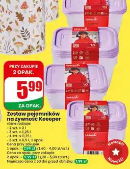 Dino Zestaw pojemników na żywność Keeeper 2 szt. x oferta
