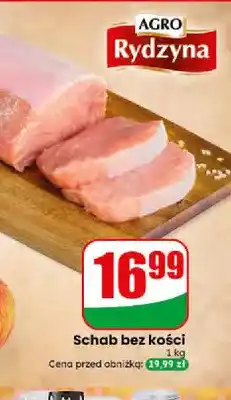Dino Schab bez kości Agro Rydzyna oferta