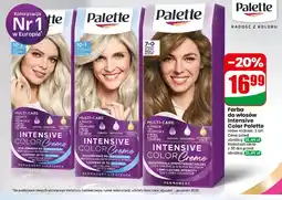 Dino Farba do włosów Intensive Color Palette 10-1 mroźny srebrny blond oferta