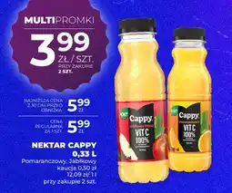Duży Ben Nektar Cappy oferta