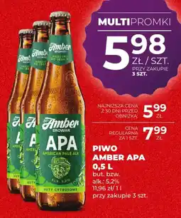 Duży Ben Piwo Amber APA oferta