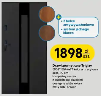 Castorama Drzwi zewnętrzne Triglav oferta
