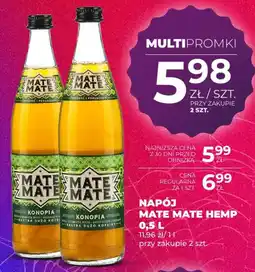 Duży Ben Napój Mate Mate Hemp oferta
