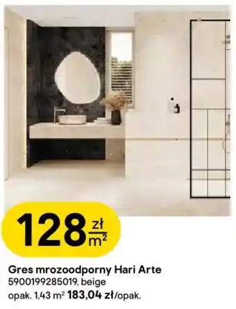 Castorama Gres mrozoodporny Hari Arte oferta