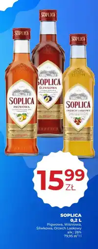 Duży Ben Soplica oferta