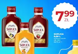 Duży Ben Soplica oferta