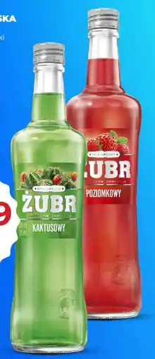 Duży Ben Żubr oferta