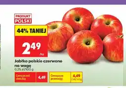Biedronka Jabłka polskie czerwone oferta