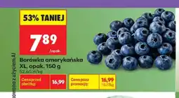 Biedronka Borówka amerykańska XL oferta
