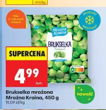 Biedronka Brukselka mrożona Mroźna Kraina oferta