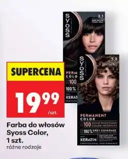 Biedronka Farba do włosów Syoss Color oferta