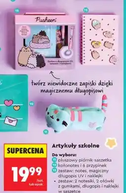 Biedronka Kołonotes i 6 przypinek Pusheen oferta
