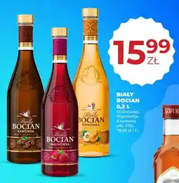 Duży Ben Biały Bocian Malinówka oferta