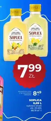 Duży Ben Soplica Cytryna-Pigwa oferta