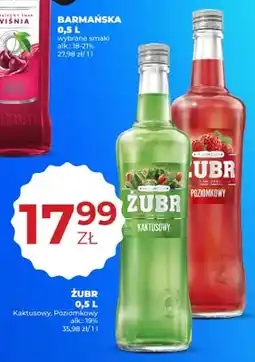 Duży Ben Żubr Kaktusowy oferta