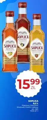 Duży Ben Soplica Wiśniowa oferta