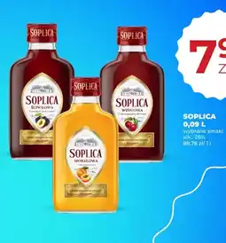 Duży Ben Soplica Śliwkowa oferta