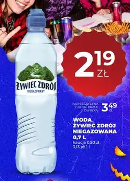 Duży Ben Woda niegazowana Żywiec Zdrój oferta