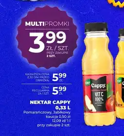 Duży Ben Nektar Cappy pomarańczowy oferta