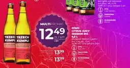 Duży Ben Piwo Citrus Juicy Session IPA Trzech Kumpli oferta