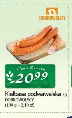 Cezar Delikatesy Kiełbasa podwawelska Dobrowolscy oferta