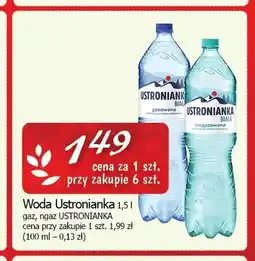 Cezar Delikatesy Woda gazowana Ustronianka oferta