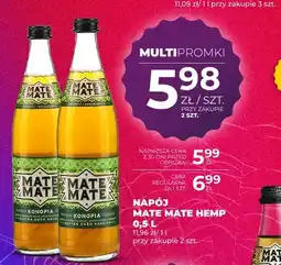 Duży Ben Napój Mate Mate Hemp oferta