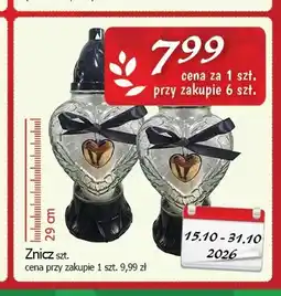 Cezar Delikatesy Znicz 29 cm oferta