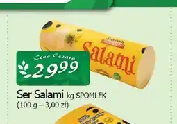 Cezar Delikatesy Ser salami Spomlek oferta