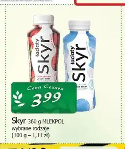 Cezar Delikatesy Skyr Mlekpol oferta