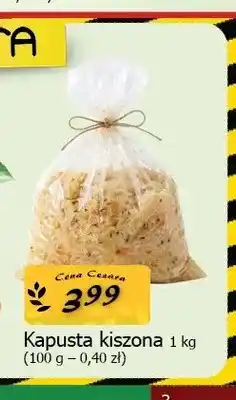 Cezar Delikatesy Kapusta kiszona oferta