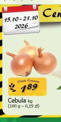 Cezar Delikatesy Cebula oferta