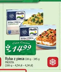 Cezar Delikatesy Ryba z pieca Frosta oferta