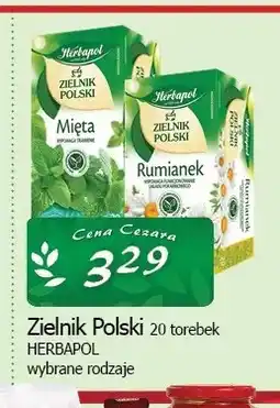 Cezar Delikatesy Herbata Zielnik Polski Herbapol oferta