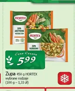 Cezar Delikatesy Zupa Hortex oferta