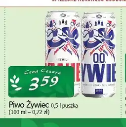 Cezar Delikatesy Piwo Żywiec oferta