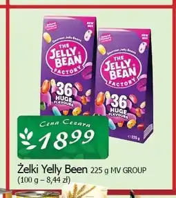 Cezar Delikatesy Żelki Yelly Bean MV Group oferta