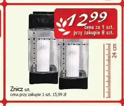 Cezar Delikatesy Znicz 24 cm oferta