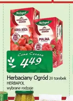 Cezar Delikatesy Herbata Herbaciany Ogród Herbapol oferta