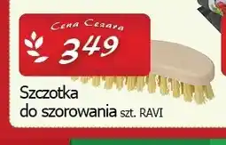 Cezar Delikatesy Szczotka do szorowania Ravi oferta