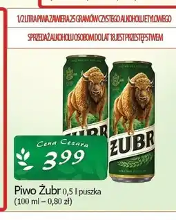 Cezar Delikatesy Piwo Żubr oferta