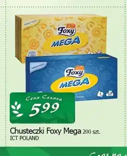 Cezar Delikatesy Chusteczki Foxy Mega oferta