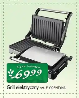 Cezar Delikatesy Grill elektryczny Florentyna oferta