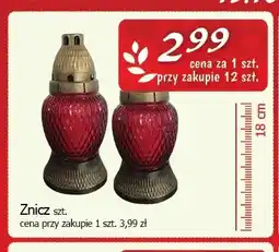 Cezar Delikatesy Znicz 18 cm oferta