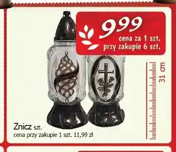 Cezar Delikatesy Znicz 31 cm oferta
