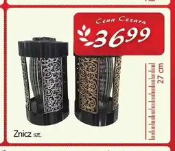 Cezar Delikatesy Znicz 27 cm oferta